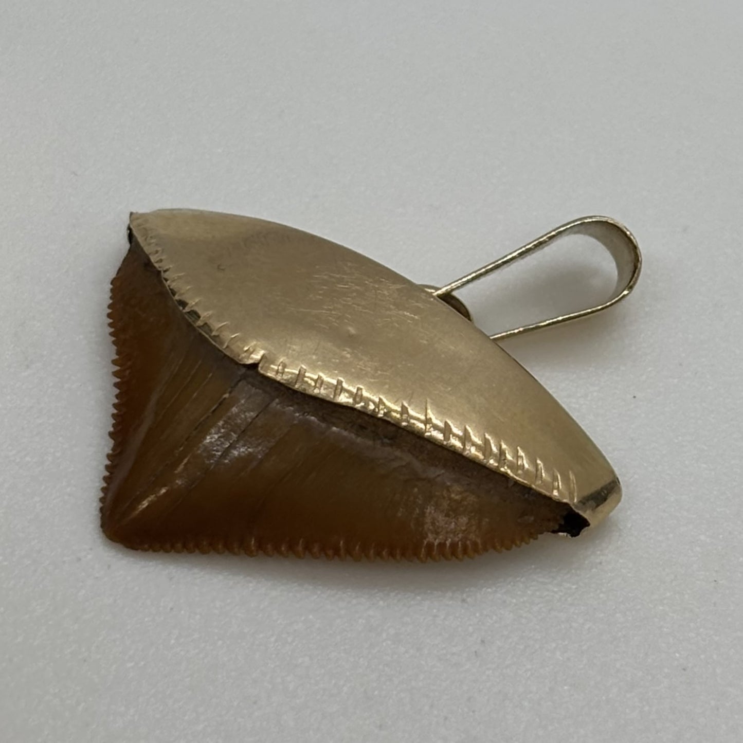 Pendentif Or avec Dent de Requin
