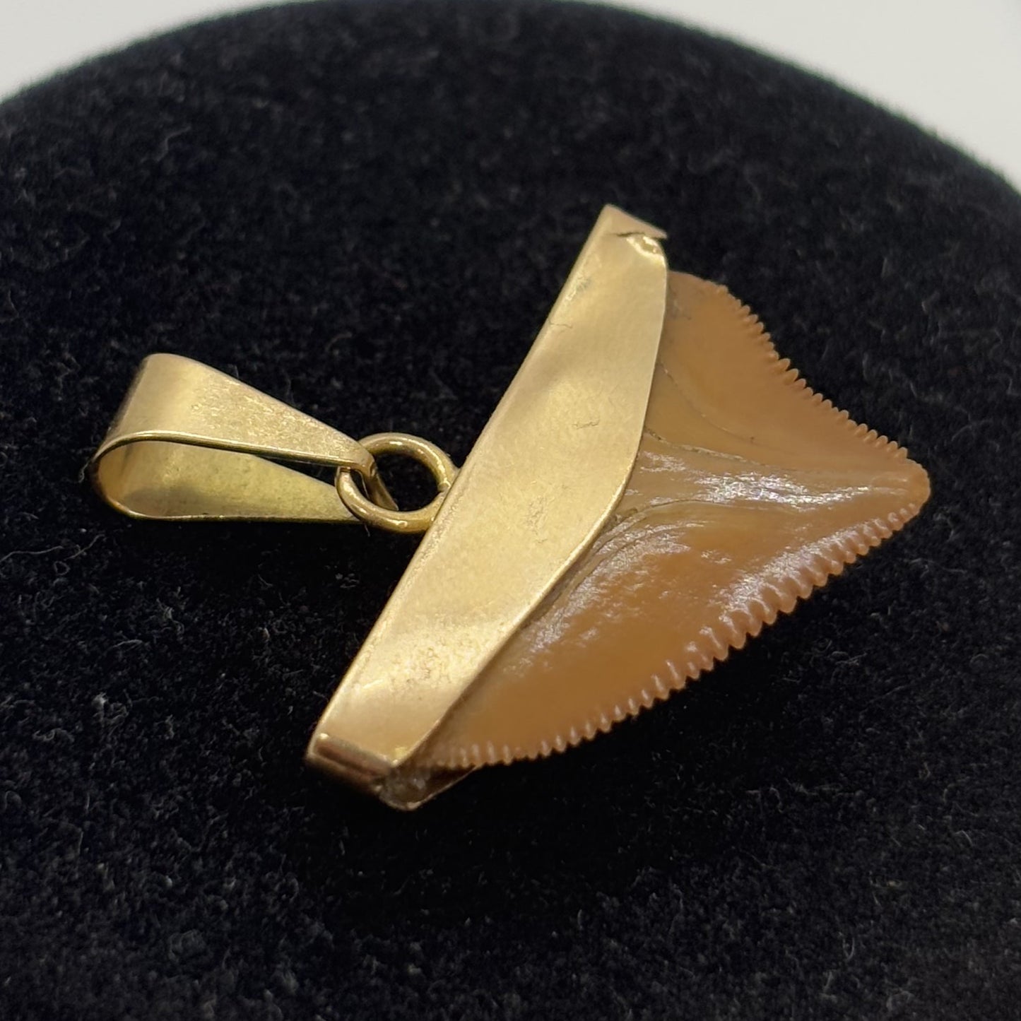 Pendentif Or avec Dent de Requin