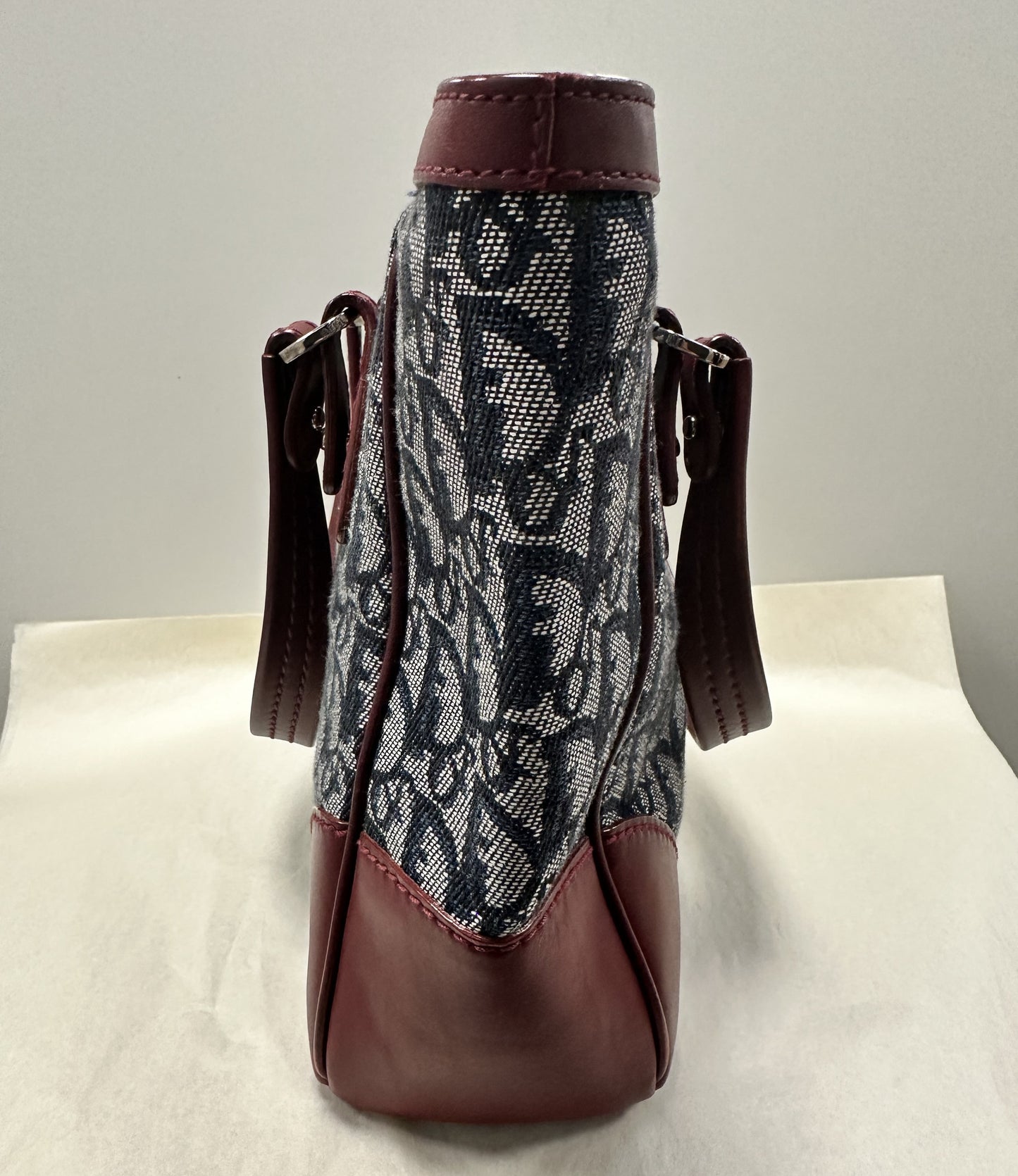 Sac Dior avec Trotter