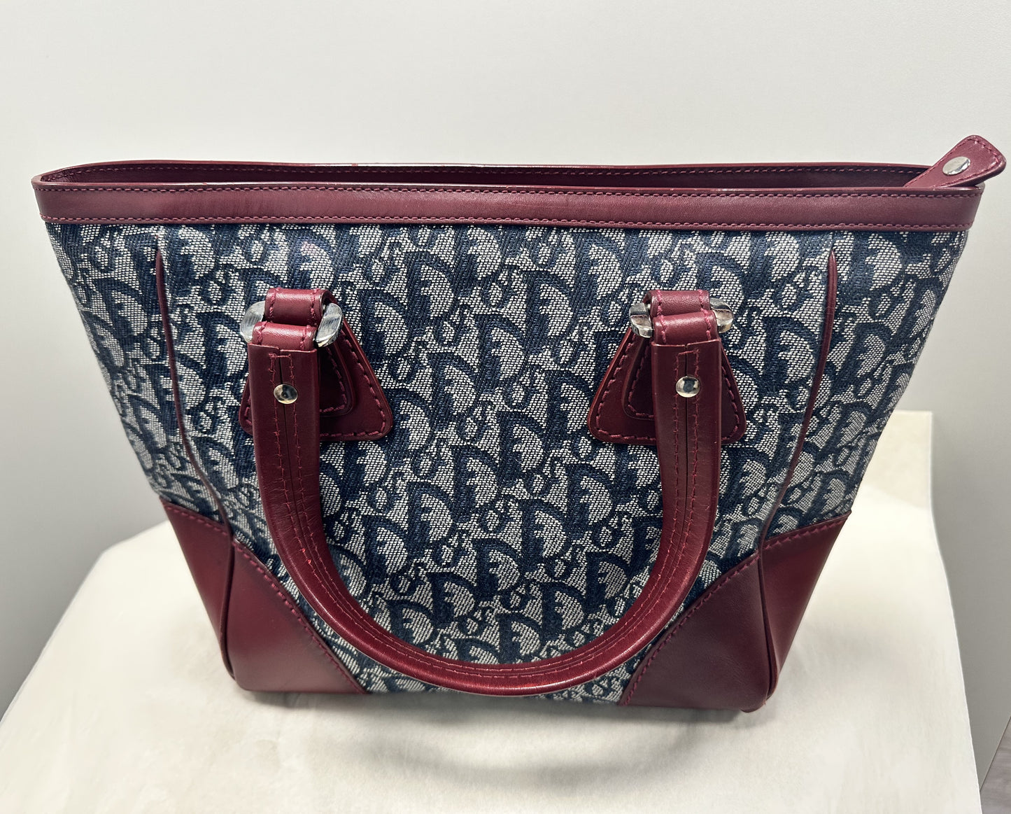 Sac Dior avec Trotter