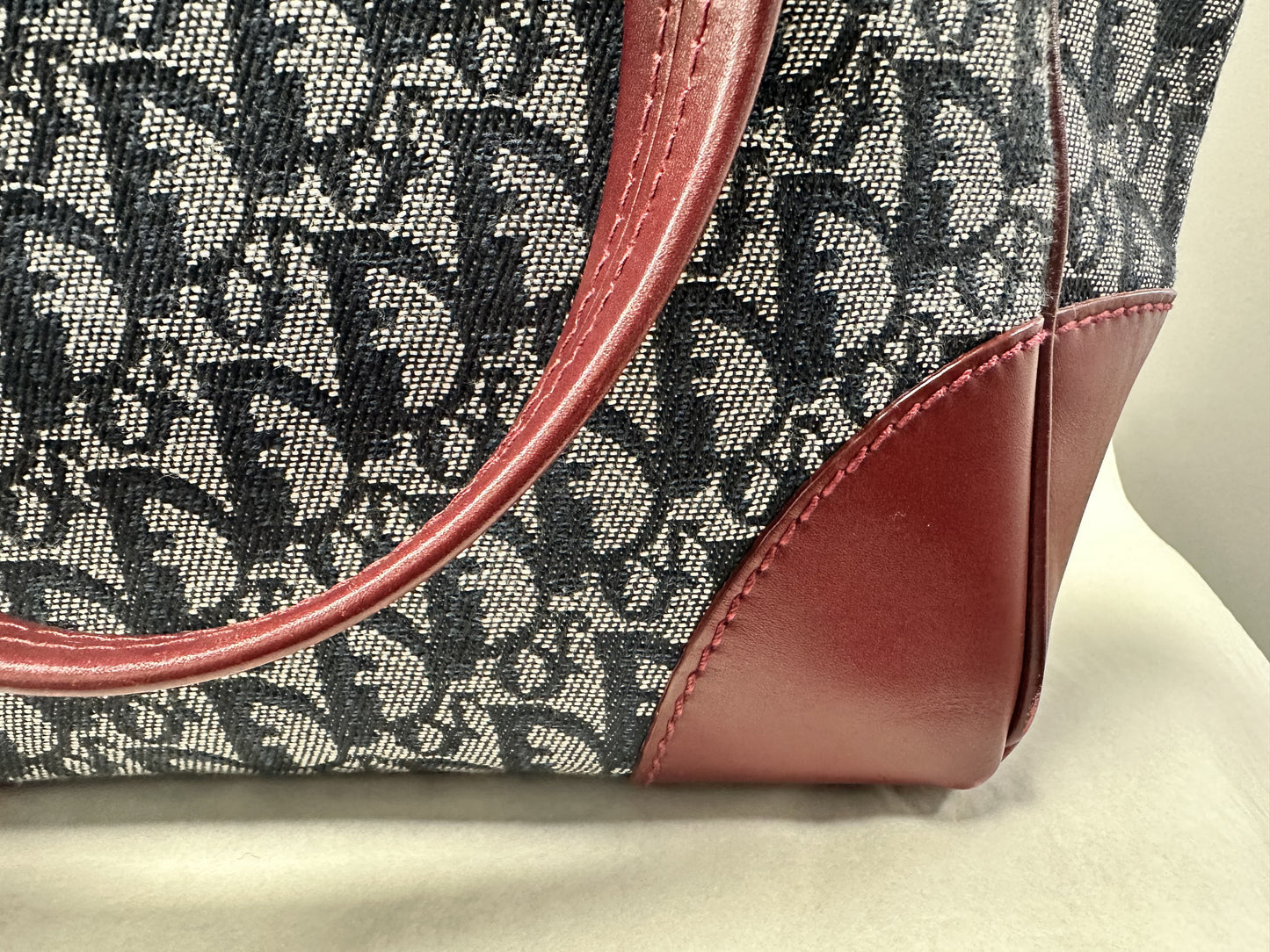 Sac Dior avec Trotter