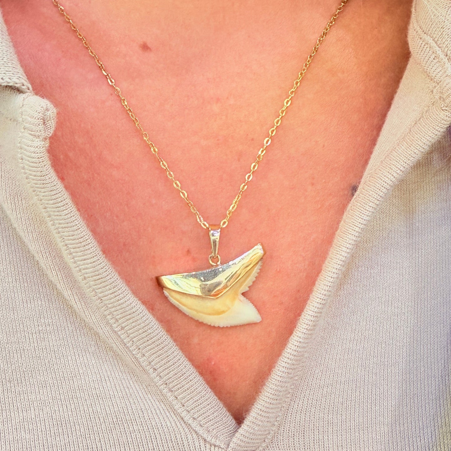 Pendentif Dent de Requin en Or Jaune 18k