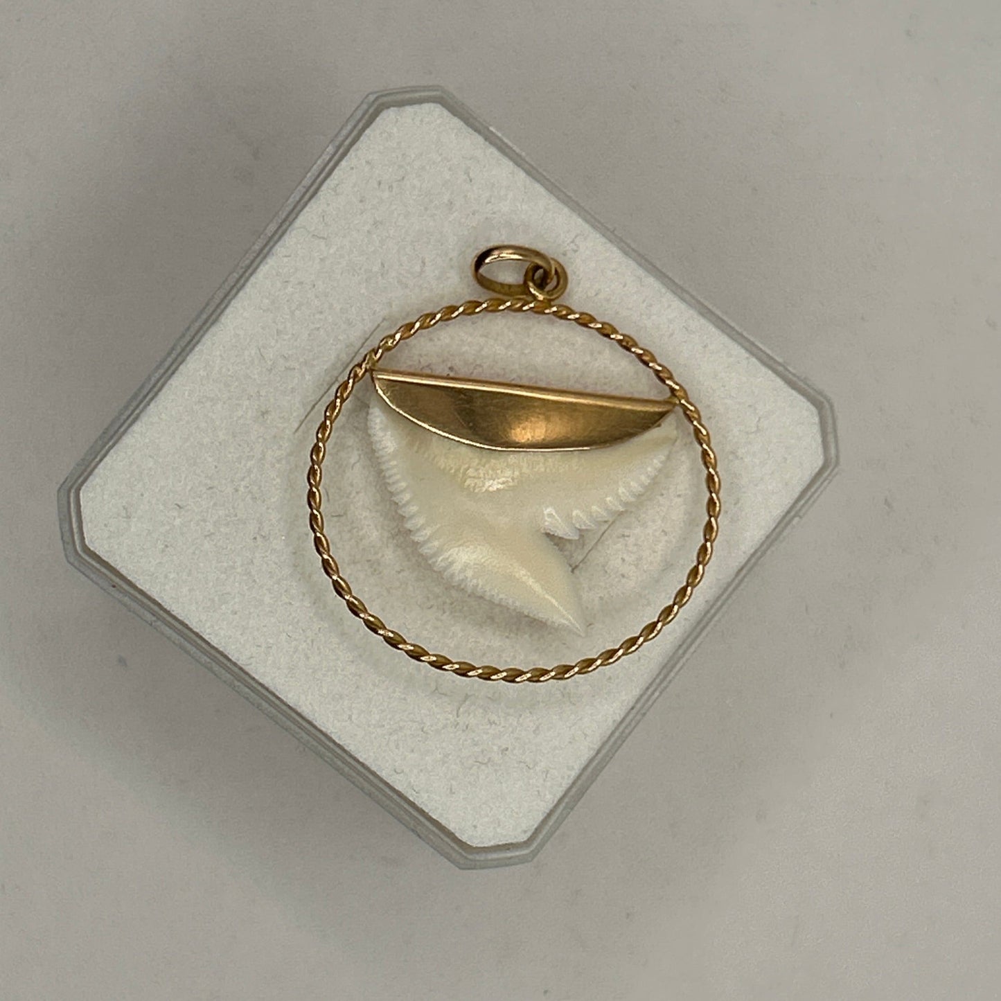 Pendentif Médaille Or Jaune 18K avec Dent de Requin