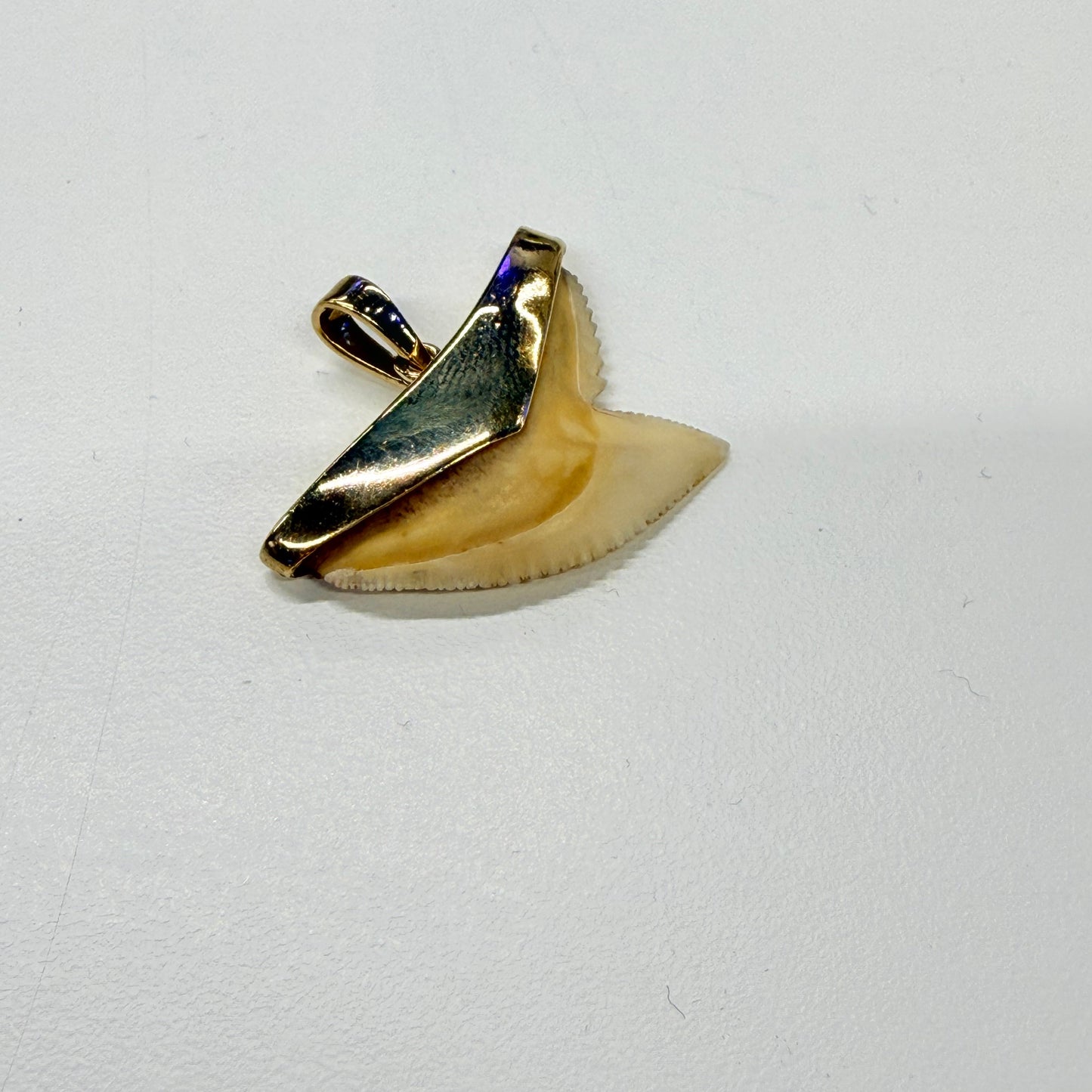 Pendentif Dent de Requin en Or Jaune 18k