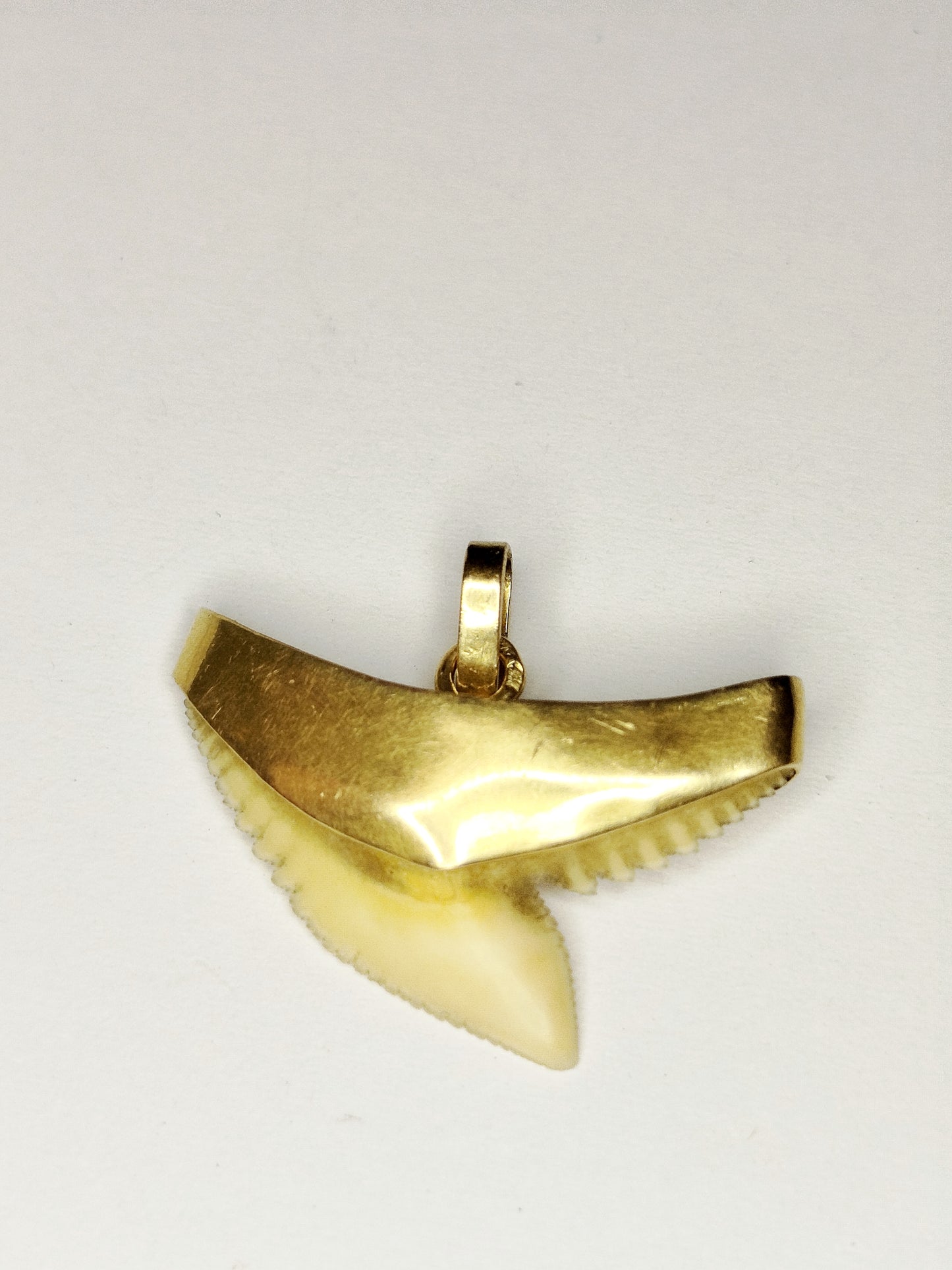 Pendentif Dent de Requin en Or Jaune 18 Carats - 2.66 Gs