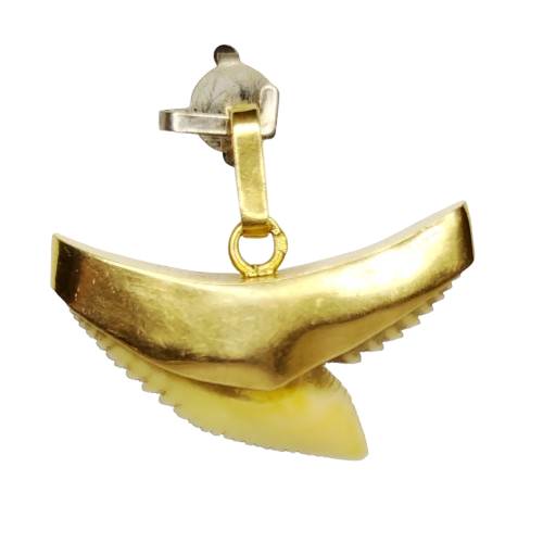 Pendentif Dent de Requin en Or Jaune 18 Carats - 2.66 Gs