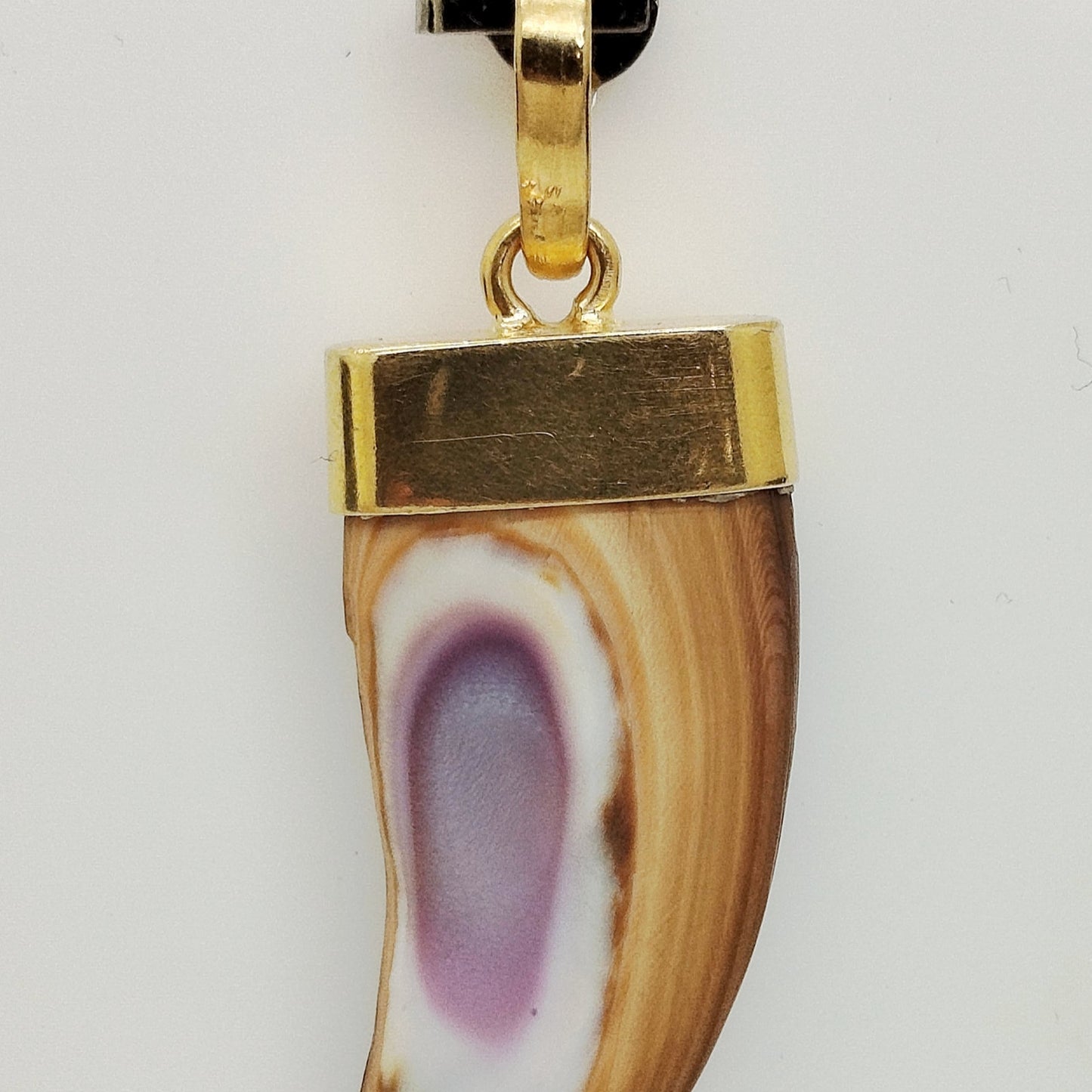Pendentif Dent en Or Jaune 18 Carats Poids - 5.95 Grs