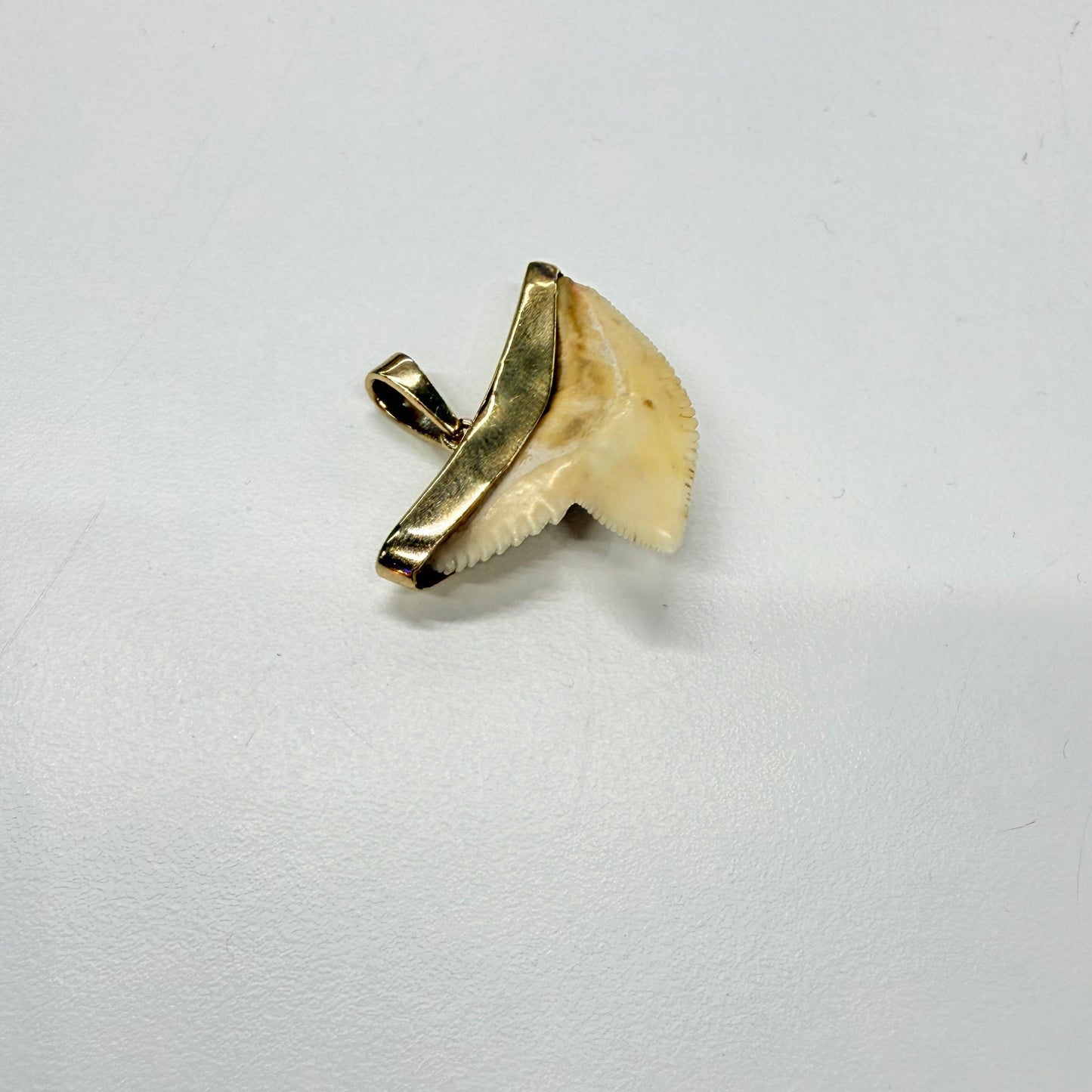 Pendentif Dent de Requin en Or Jaune 18k