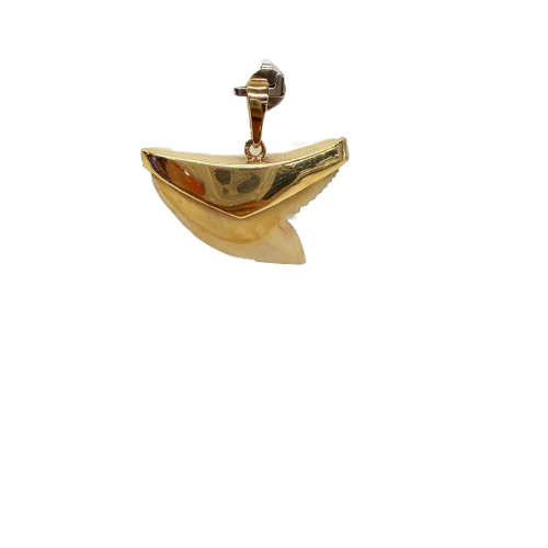 Pendentif Dent de Requin en Or Jaune 18k