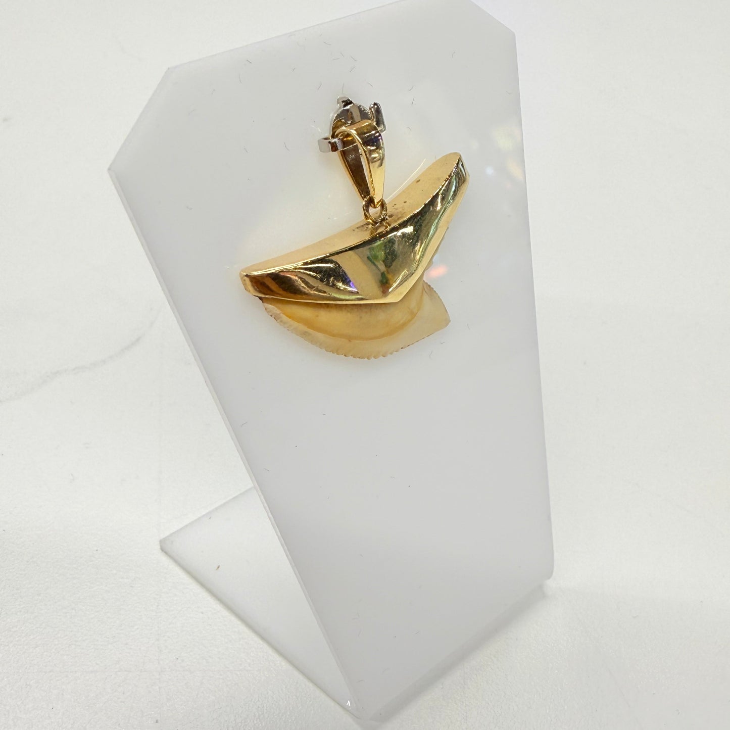 Pendentif Dent de Requin en Or Jaune 18k