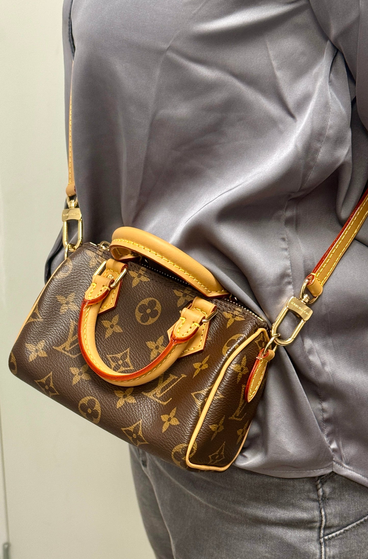 Louis Vuitton Nano Speedy Monogram Toile