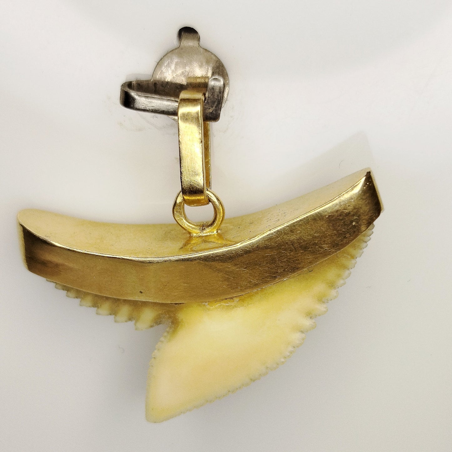 Pendentif Dent de Requin en Or Jaune 18 Carats - 2.66 Gs