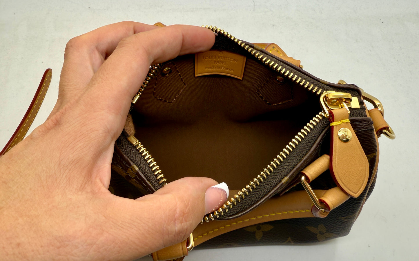 Louis Vuitton Nano Speedy Monogram Toile