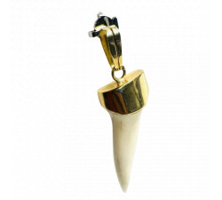 Pendentif Or Dent de Requin