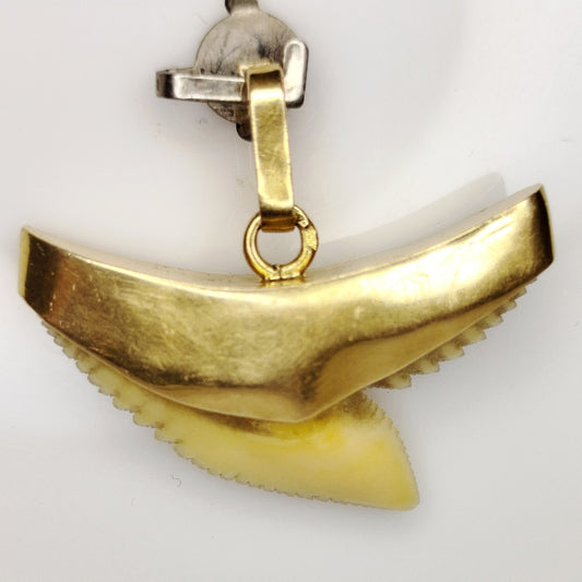 Pendentif Dent de Requin en Or Jaune 18 Carats - 2.66 Gs