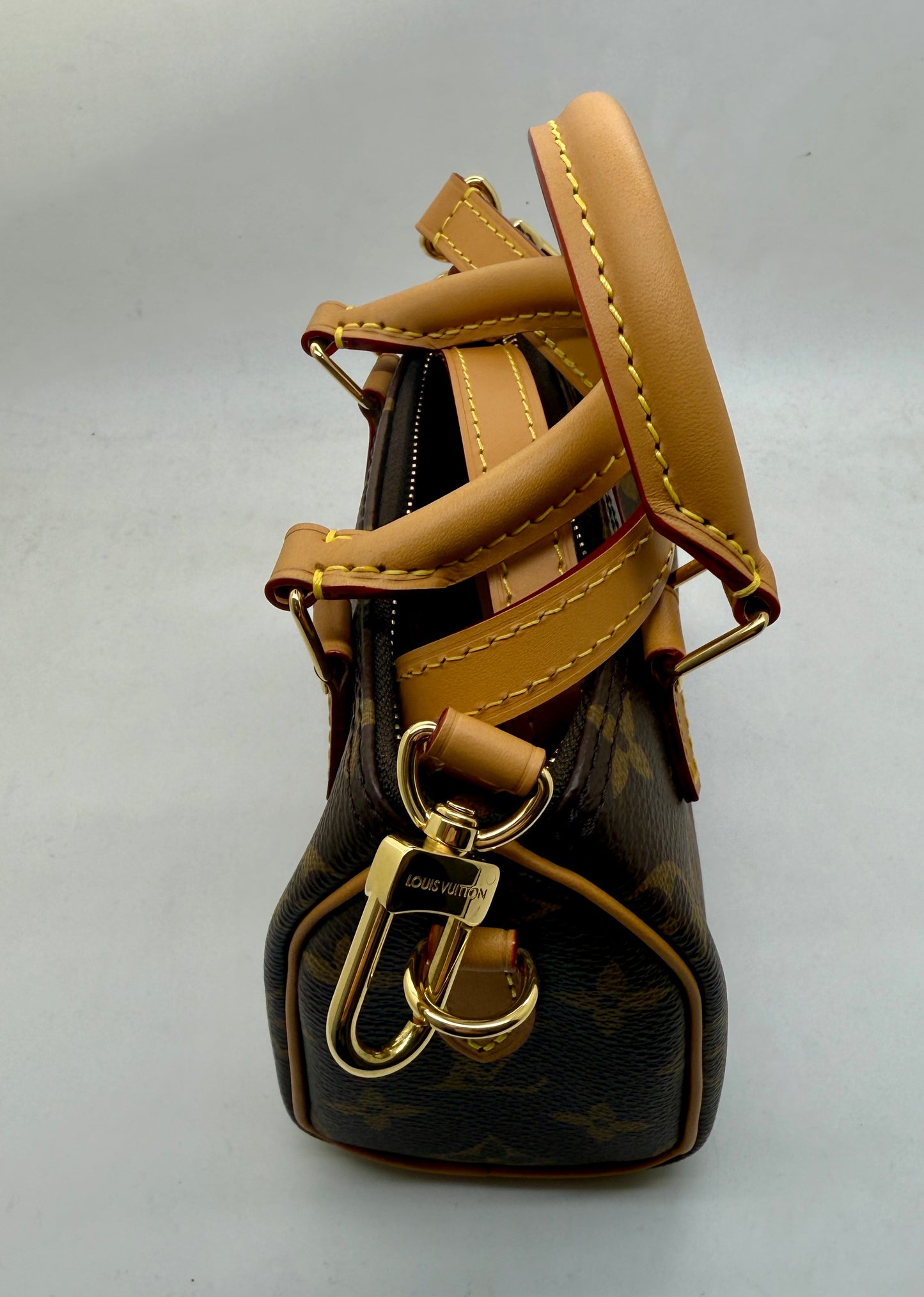 Louis Vuitton Nano Speedy Monogram Toile